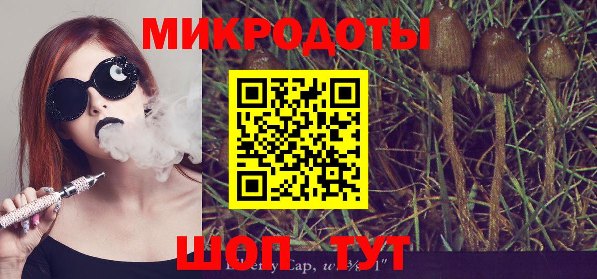 Псилоцибиновые грибы Psilocybine cubensis Благодарный