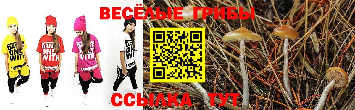 Галлюциногенные грибы Magic Shrooms  Вход с VPN  Благодарный 